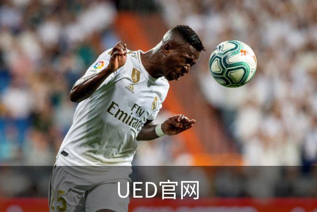 UED官网公司介绍图片
